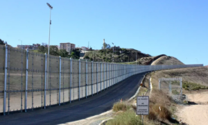 Строжайший контроль над американскими поставками скота: Мексика принимает меры против распространения птичьего гриппа