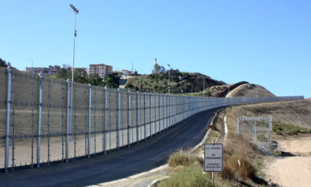 Строжайший контроль над американскими поставками скота: Мексика принимает меры против распространения птичьего гриппа