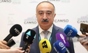 Ариф Мамедов: Использование новых самолетов приведет к сокращению выбросов в будущем