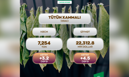 Азербайджан увеличил экспорт табачного сырья в 4,5 раза