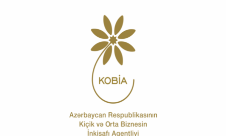 В Азербайджане в прошлом году 65 субъектов МСБ получили стартап-сертификаты