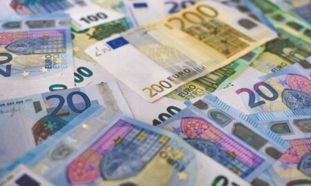 Доля евро в инвестиционном портфеле ГНФАР увеличилась