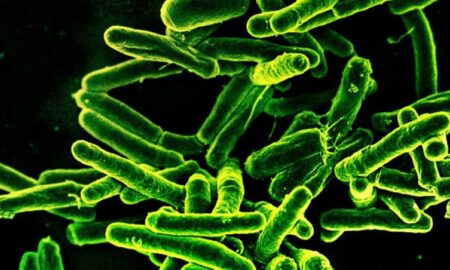 Ученые добились крупного прорыва в борьбе с туберкулезом