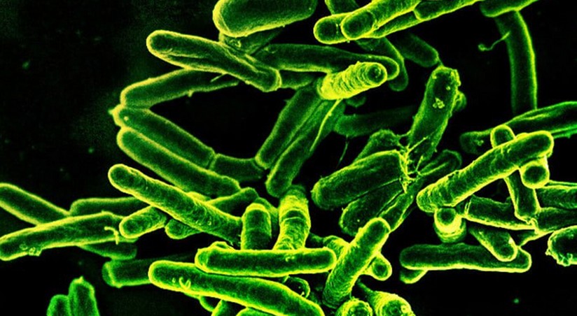 Ученые добились крупного прорыва в борьбе с туберкулезом