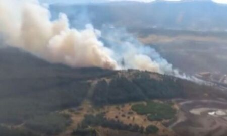 В Измире к тушению лесного пожара привлечены семь вертолетов