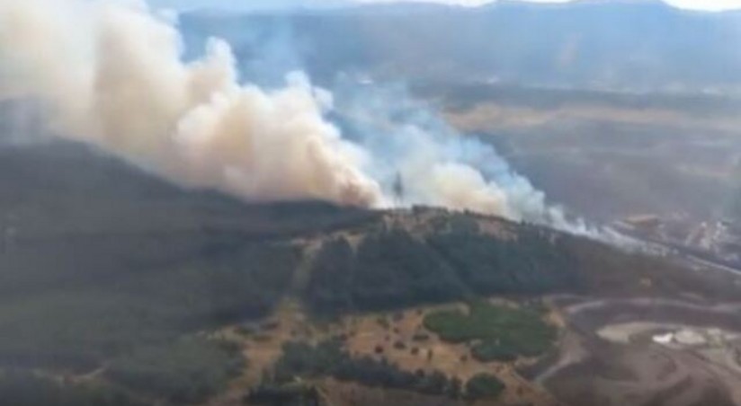 В Измире к тушению лесного пожара привлечены семь вертолетов